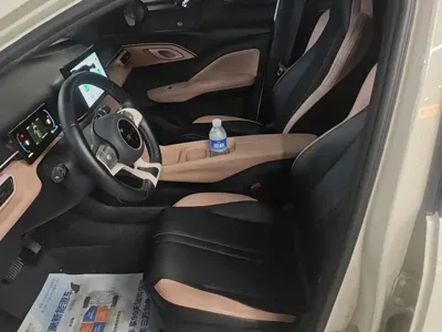 BYD Seagull