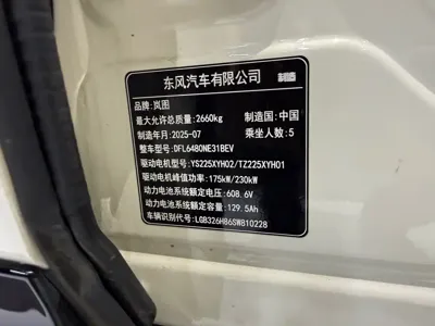 Voyah Zhiyin