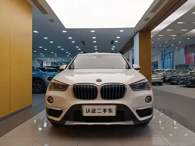 BMW X1 New Energy