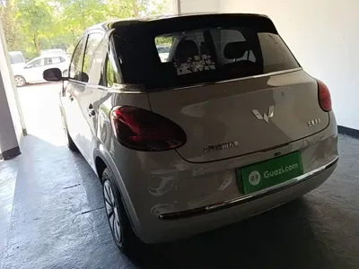 Wuling Bingo