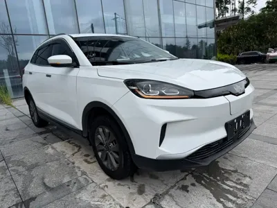 WM Motor EX5