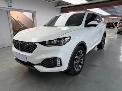 WEY Wey VV6