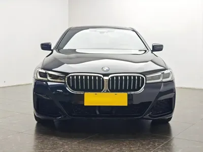BMW 5 Series New Energy