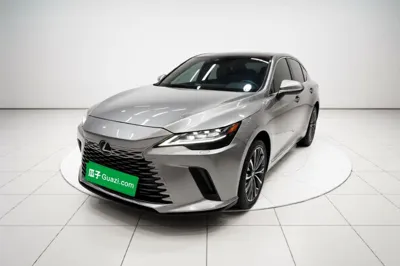 Lexus RX New Energy