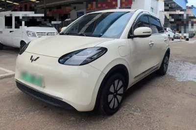 Wuling Bingo