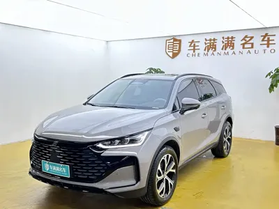 BYD Tang New Energy