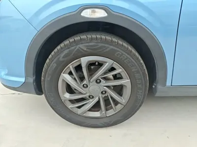 NETA Neta V
