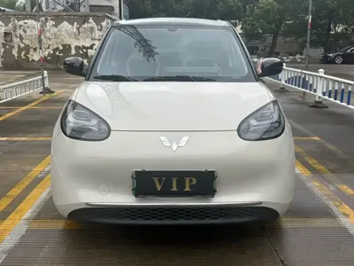 Wuling Bingo