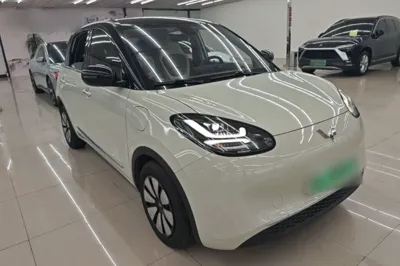 Wuling Bingo