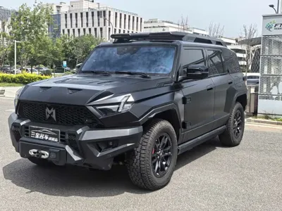 Mengshi Mengshi 917