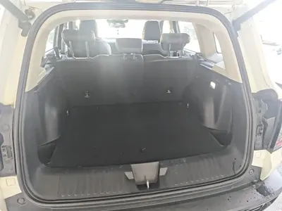 Haval Big Dog