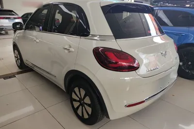 Wuling Bingo
