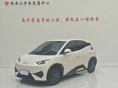 BYD Seagull