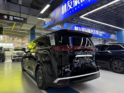 Denza Denza D9