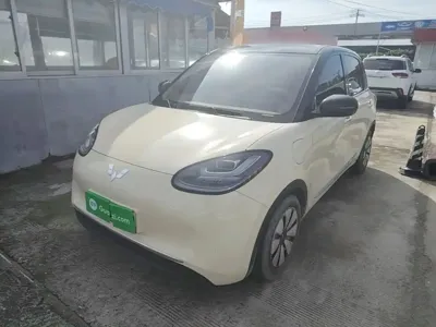 Wuling Bingo