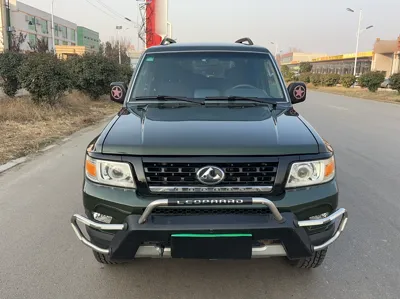 Leopaard Q6