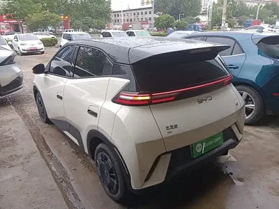 BYD Seagull