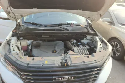Bisu T5