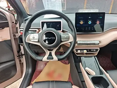 BYD Seagull