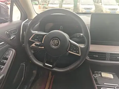 BYD Tang New Energy