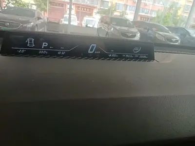 NETA Neta V