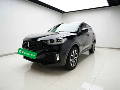 WEY Wey VV6