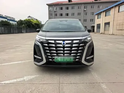 Denza Denza D9