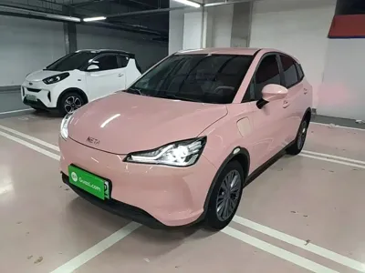 NETA Neta V