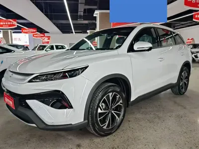 BYD Pro New Energy