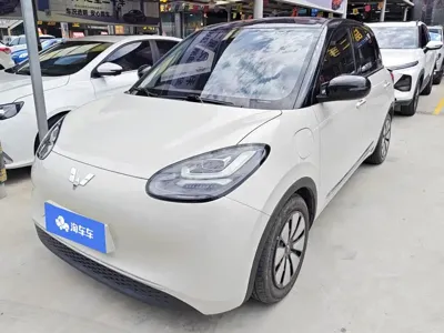 Wuling Bingo
