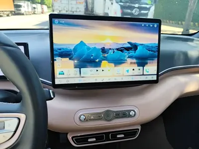 BYD Seagull