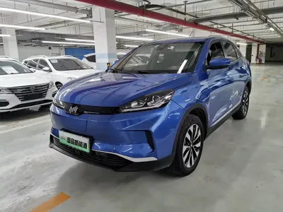 WM Motor EX5