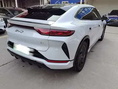 BYD L EV