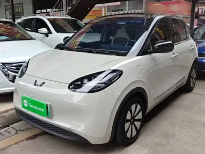 Wuling Bingo