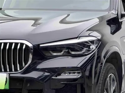 BMW X5 New Energy (Import)