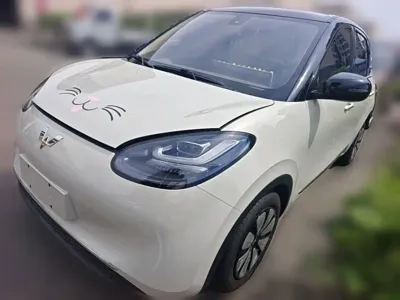 Wuling Bingo