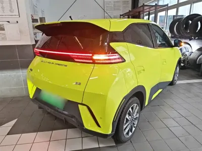 BYD Seagull