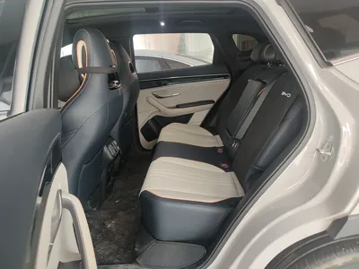 BYD Song PLUS New Energy