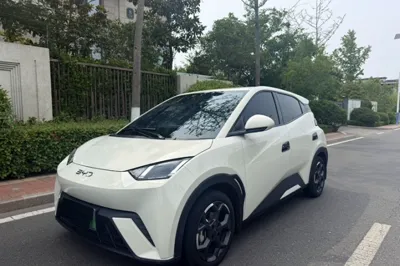 BYD Seagull