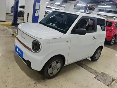 Galaxy Panda