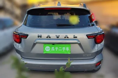 Haval H Dog