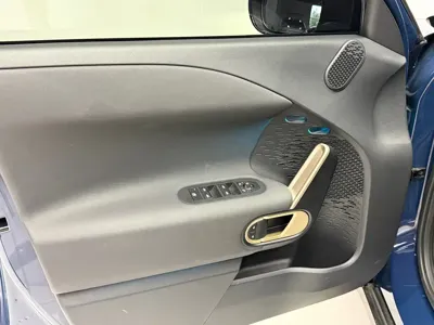 MINI MINI ACEMAN EV