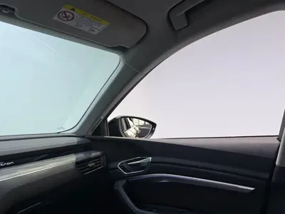 Audi e-tron (Import)