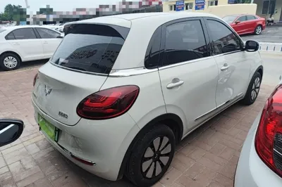 Wuling Bingo