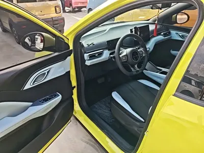 BYD Seagull