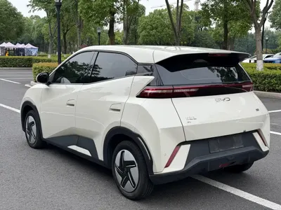 BYD Seagull