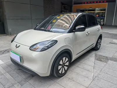 Wuling Bingo