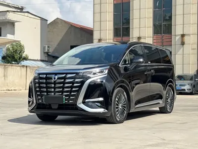 Denza Denza D9
