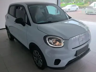 Leapmotor Leapmotor T03