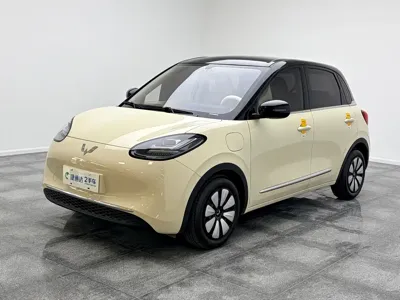 Wuling Bingo
